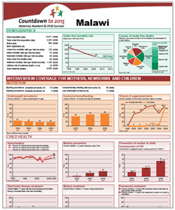 Countdown to 2015 Profiles